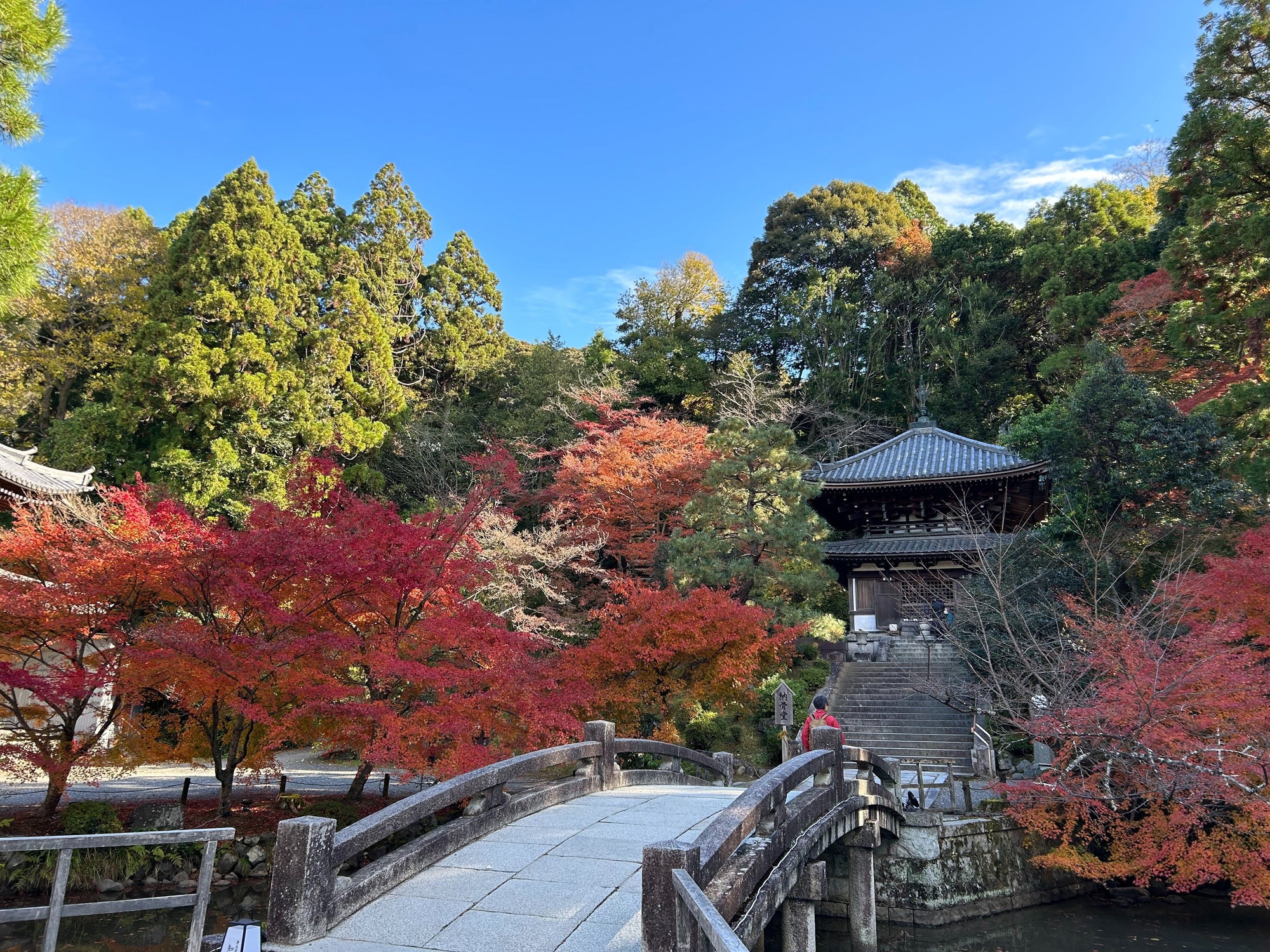 なぜ京都へ？
