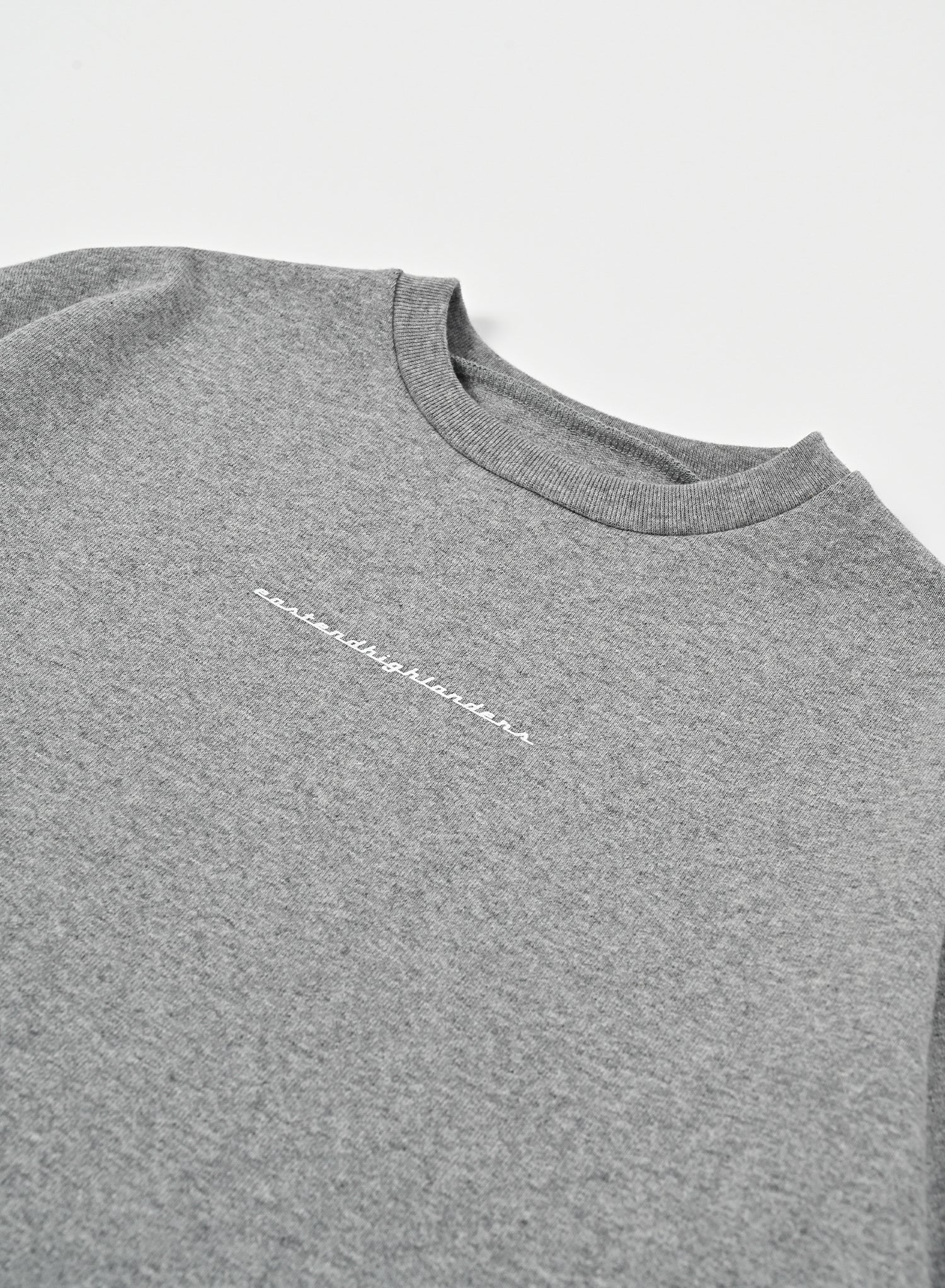 Back Print T-shirt / Hugo Back / Grey