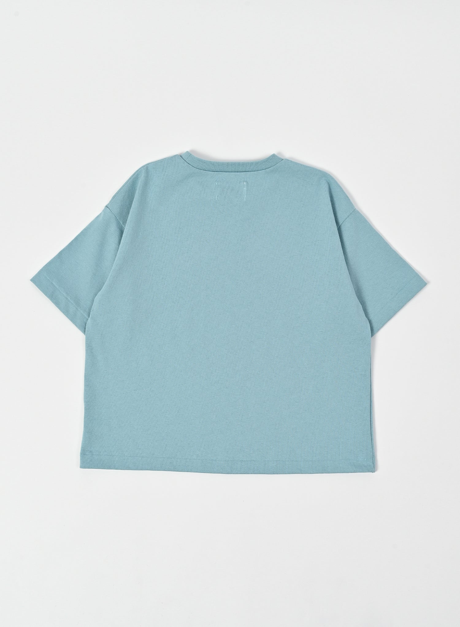 Print T-shirt / Hugo Tee / Turquoise Blue
