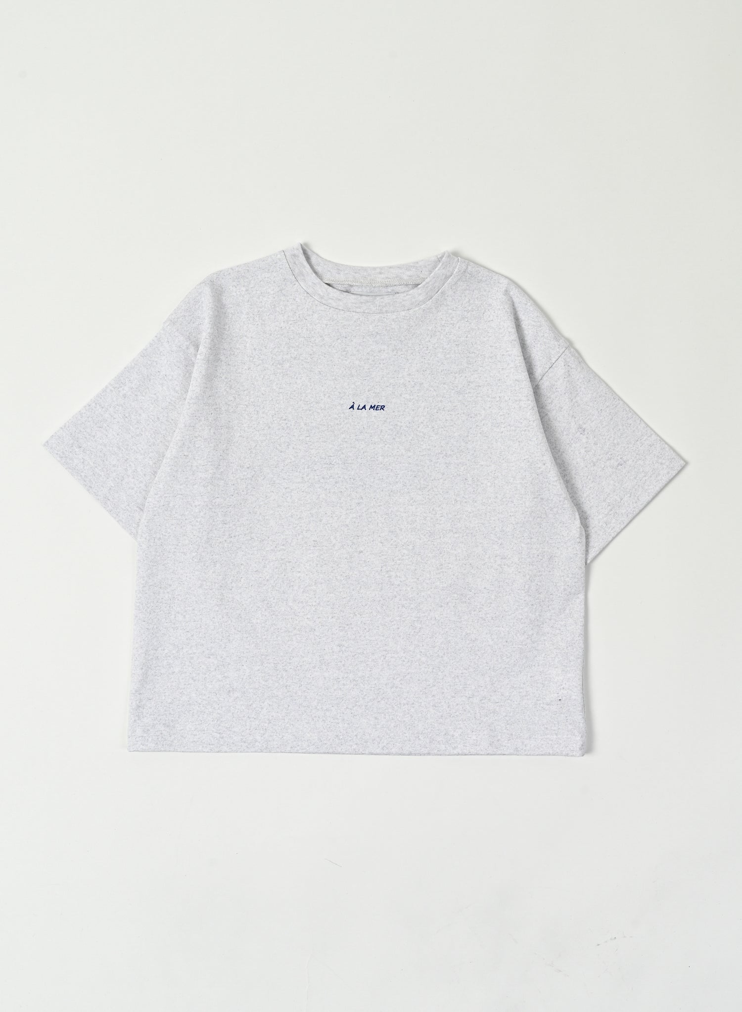 Print T-shirt / Hugo Tee / Grey