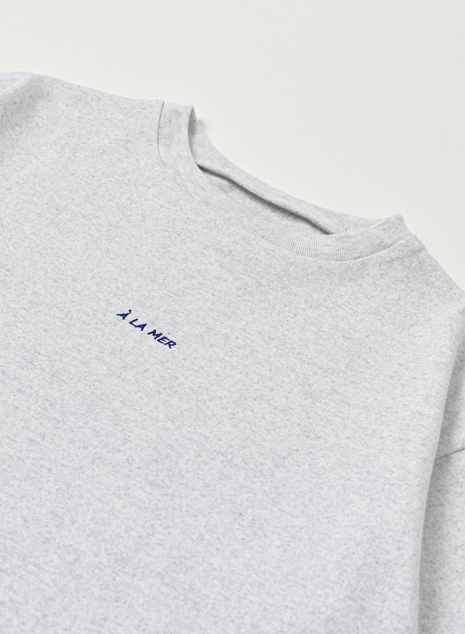 Print T-shirt / Hugo Tee / Grey
