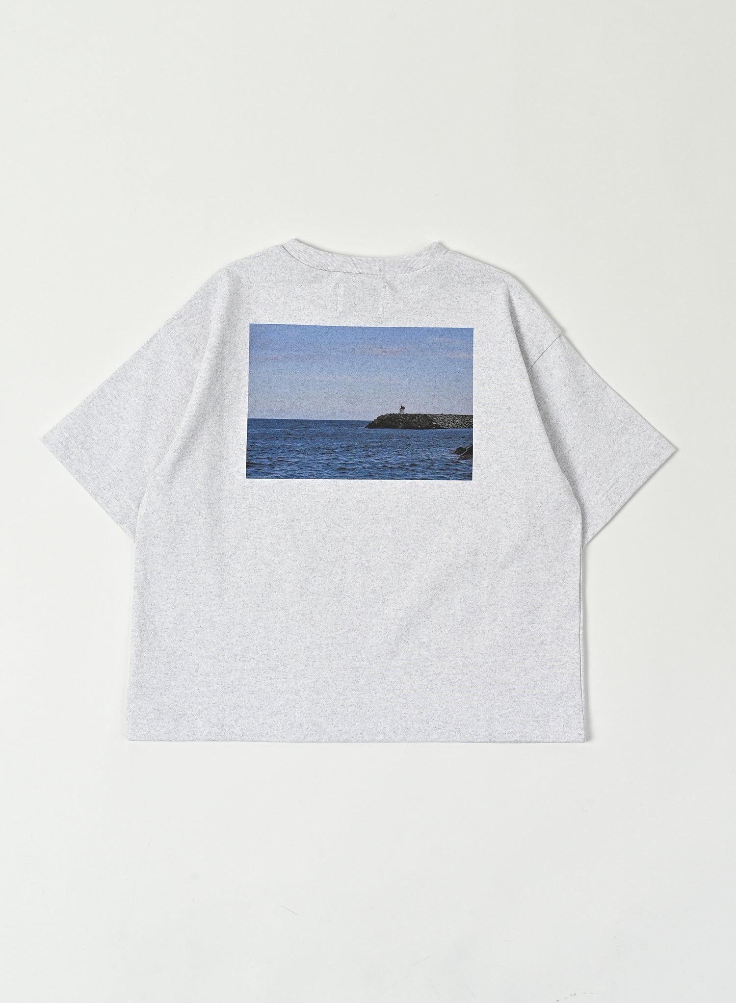 Print T-shirt / Hugo Tee / Grey