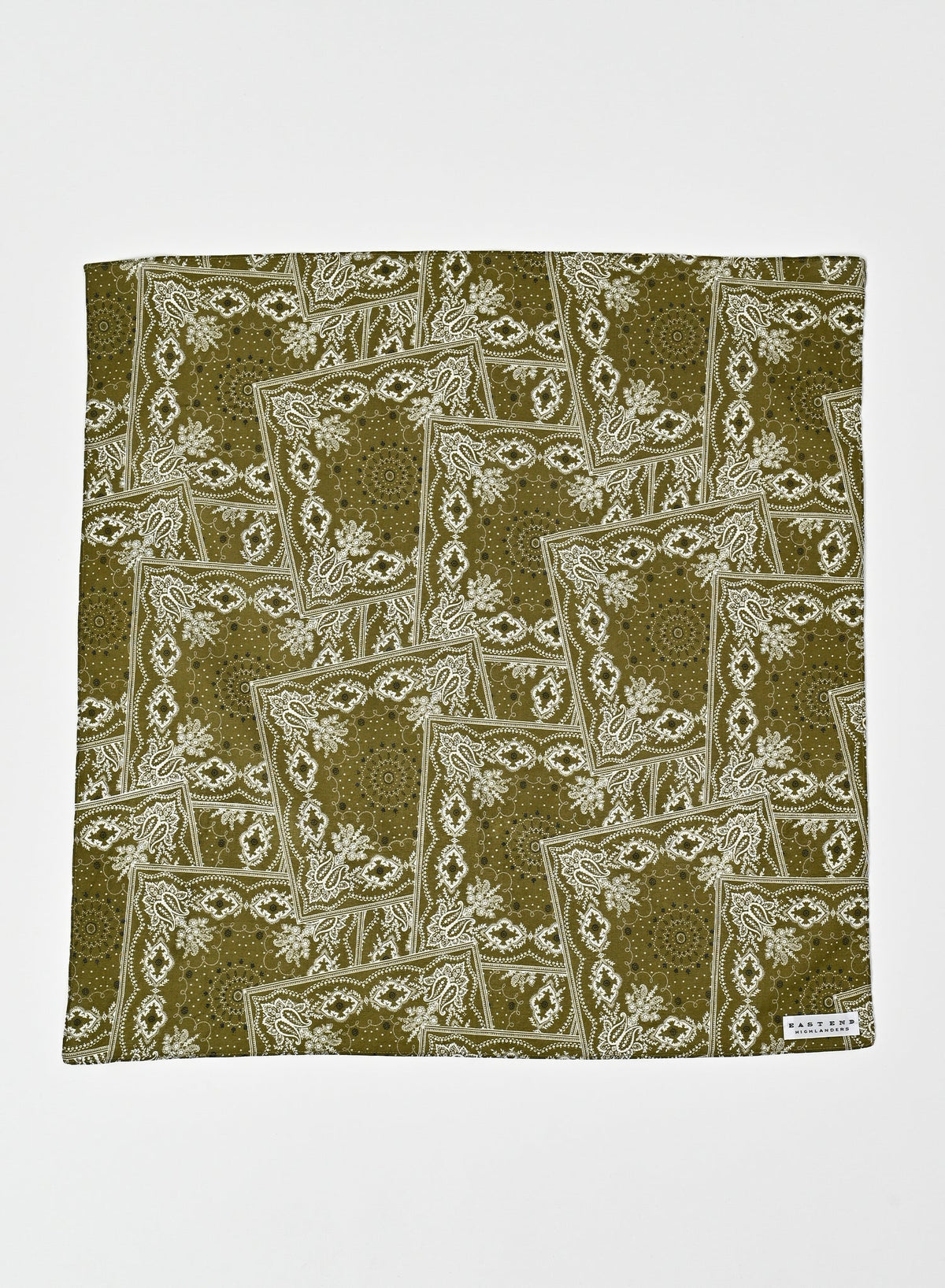 Scarf / Green  Paisley