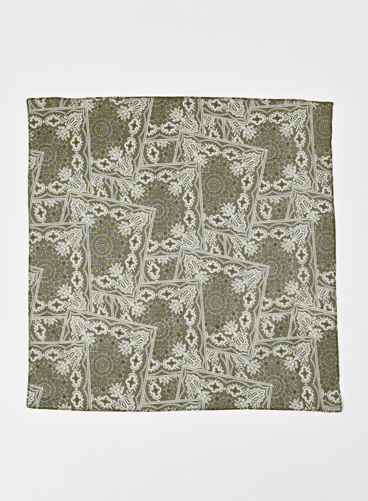 Scarf / Green  Paisley